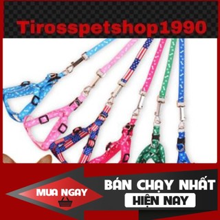 Dây dắt chó mèo đi dạo giá rẻ ❤️
