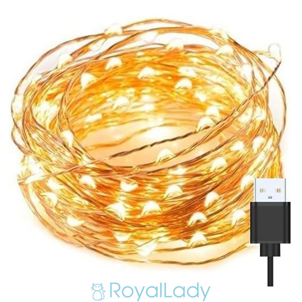 Dây Đèn Led 10m 100 Bóng Trang Trí Sinh Động