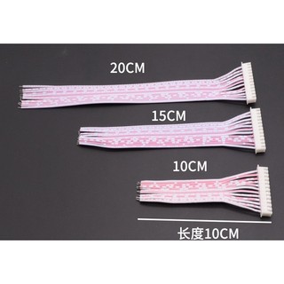 Dây Bus Trắng XH2.54mm 2 Đầu 2 pin 20CM