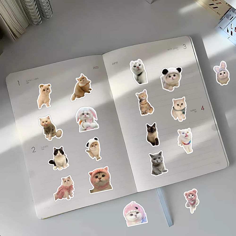 Sticker Dán Trang Trí Nhật Ký Chống Nước Hình Mèo Dễ Thương 58 58