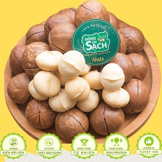 500g Hạt Macca Organic Sạch Di Linh Lâm Đồng nhà trồng size A