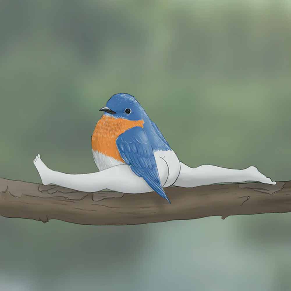 2024 Calendar Of Extremely Accurate Birds | Decorative Wall Monthly Calendars