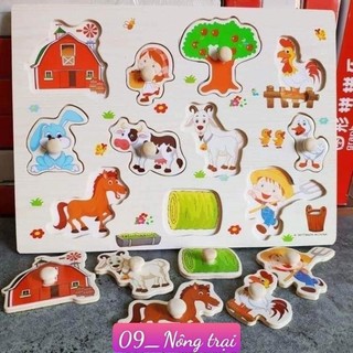 Combo 4 bảng núm gỗ - Đồ chơi ghép hình trí tuệ cho bé