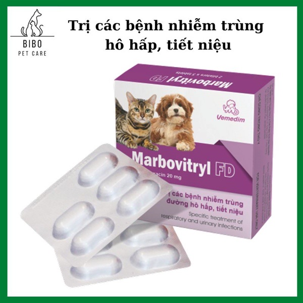 Vemedim Marbovitryl FD dùng cho chó, mèo, gà đá hô hấp, tiết niệu hộp 10 viên