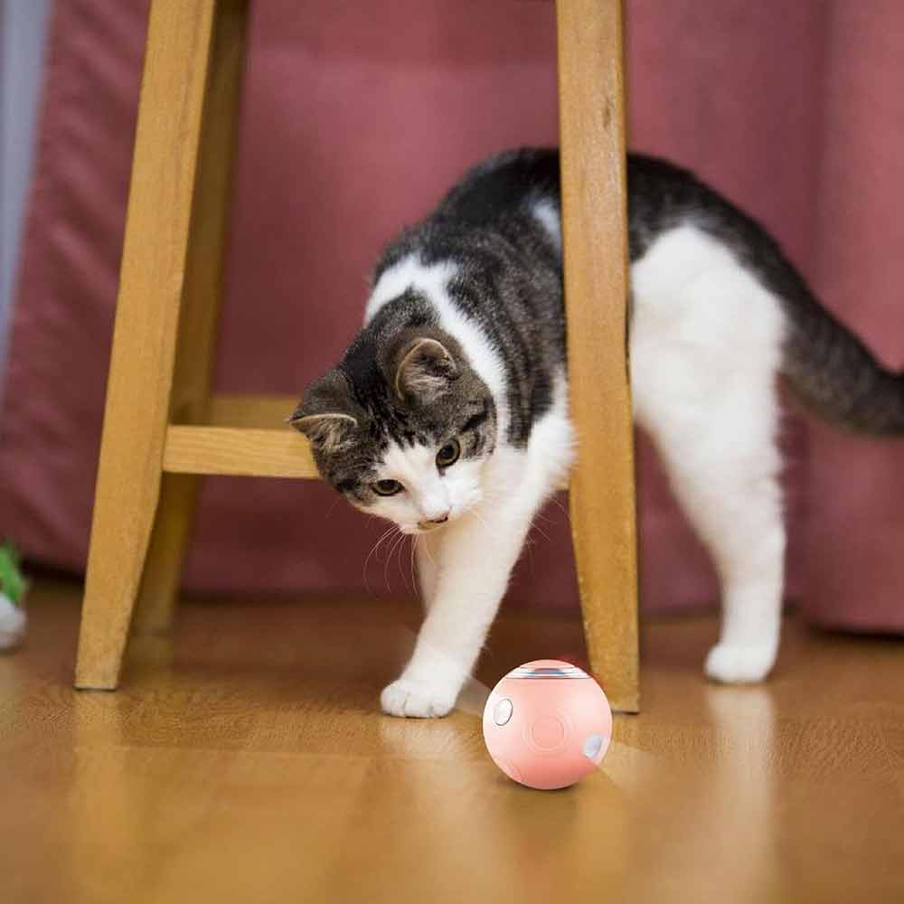 Interactive Cat Toy Ball Electric 360° Self-Rotating USB Rechargeable with LED Light Smart Toy
