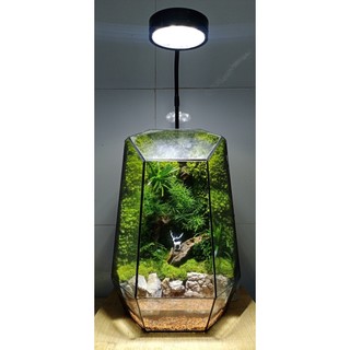 Mô hình hươu trang trí Epoxy resin đủ size