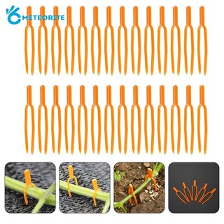 Set 10 kẹp nhựa cố định cây lát sáng tạo