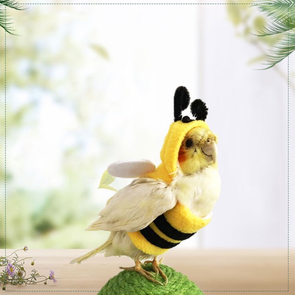 Oasis Áo Hoodie Hóa Trang Hình Chú Ong / Mặt Trời / Chim Cho Vẹt / Gà Mái Hiên Châu Phi Xám Parakeetcockatiel sun conure