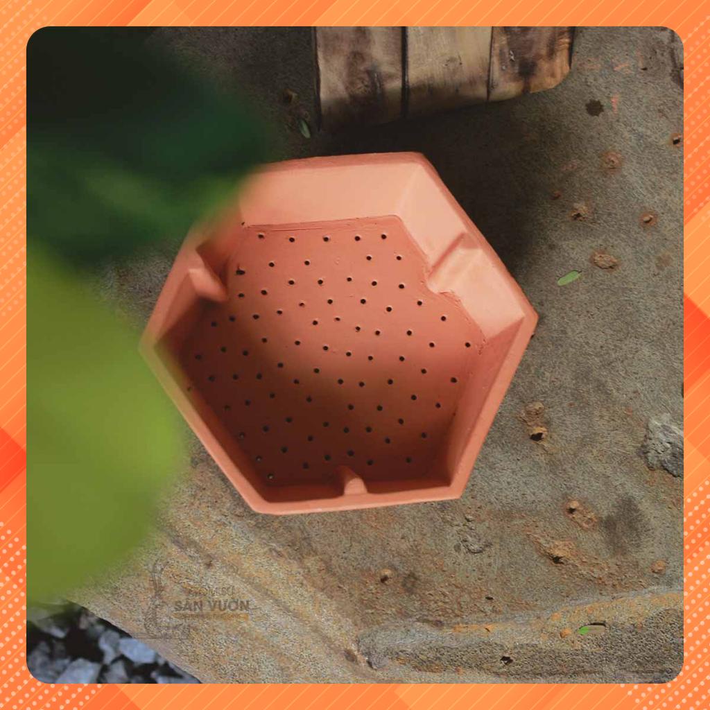 Chậu đất nung trông sen đá, xương rồng hình Ngủ Giác . Kích thước 18cm x 5cm .