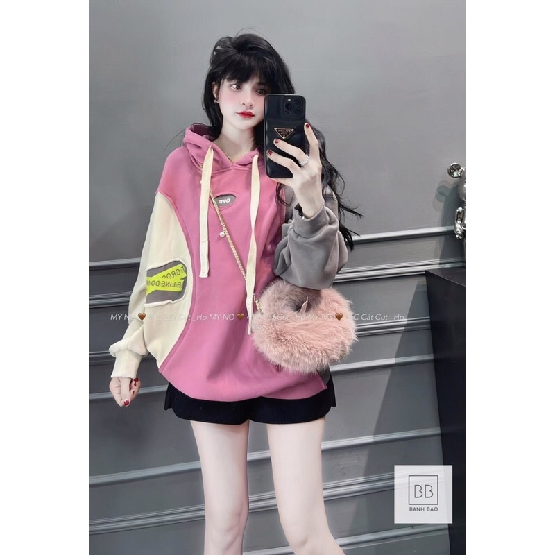 Áo nỉ hoodies mũ