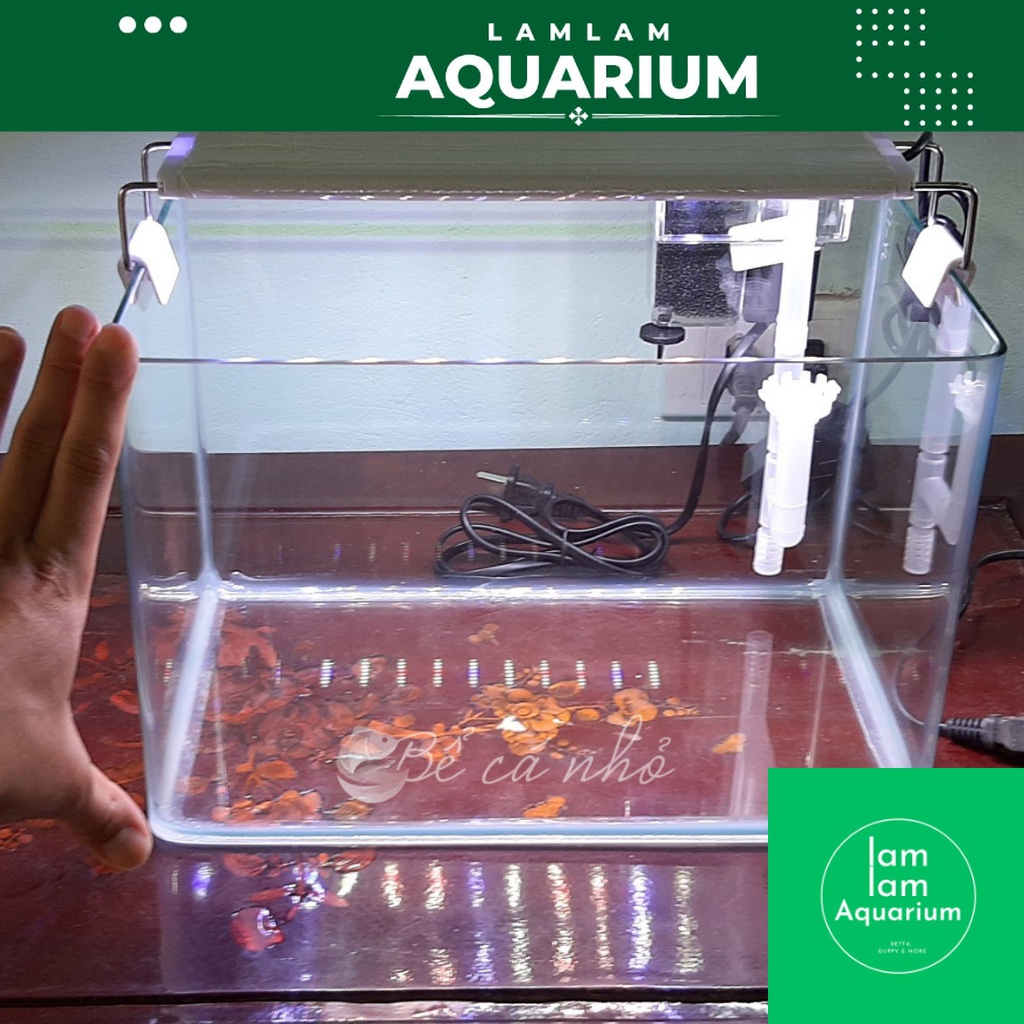 Combo Bể cá đúc cong 2 cạnh 30x17x20 mini để bàn kèm lọc thác và đèn led 3 màu không kèm phụ kiện tr