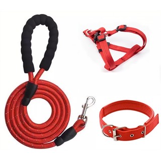 Dây Dắt Thú Cưng Đi Dạo 2m / 2m / 3m Mới