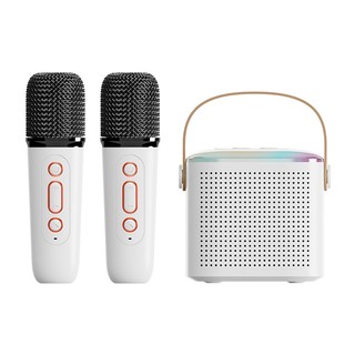 Loa Bluetooth Không Dây Kèm 2 Micro Chất Lượng Cao