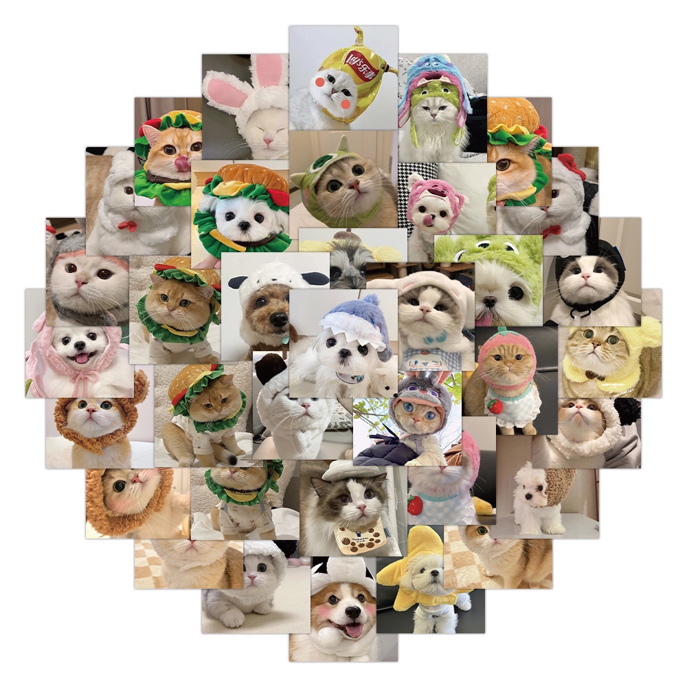 Bộ 60 Miếng Dán Trang Trí Mũ Bảo Hiểm / Bút Chì Hình Chó / Mèo graffiti Dễ Thương Vui Nhộn