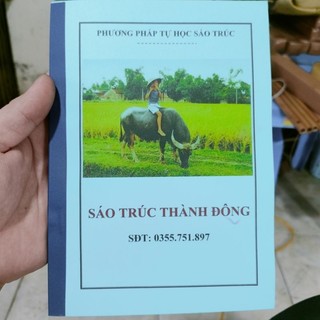 TL tự học sáo trúc 30 ngày