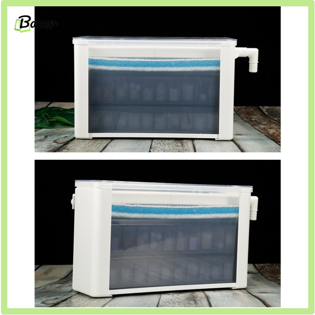 Hộp Lọc Nước 3 Trong 1 100% Dành Cho Bể Nuôi Rùa