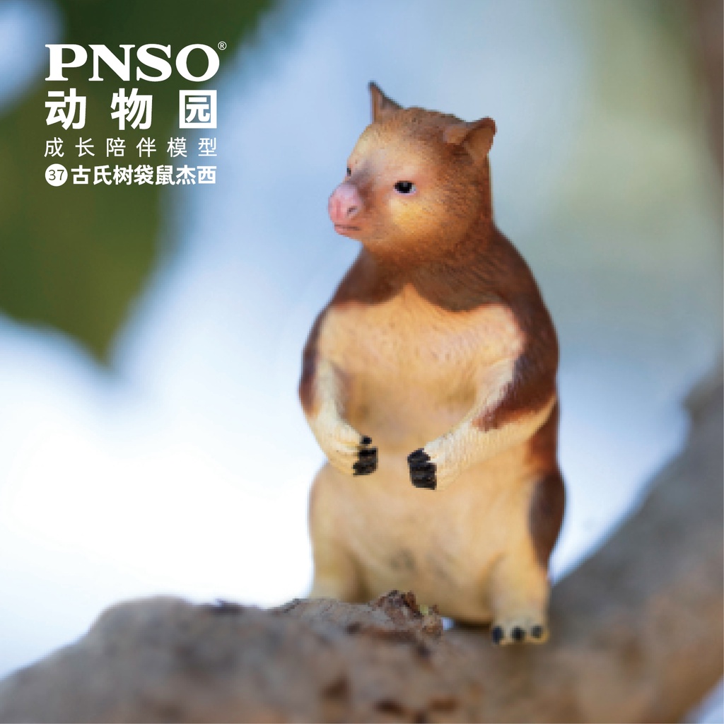 Đồ chơi trẻ em PNSO Zoo Mẫu nhỏ 037 Cây cổ Kangaroo Jesse Model