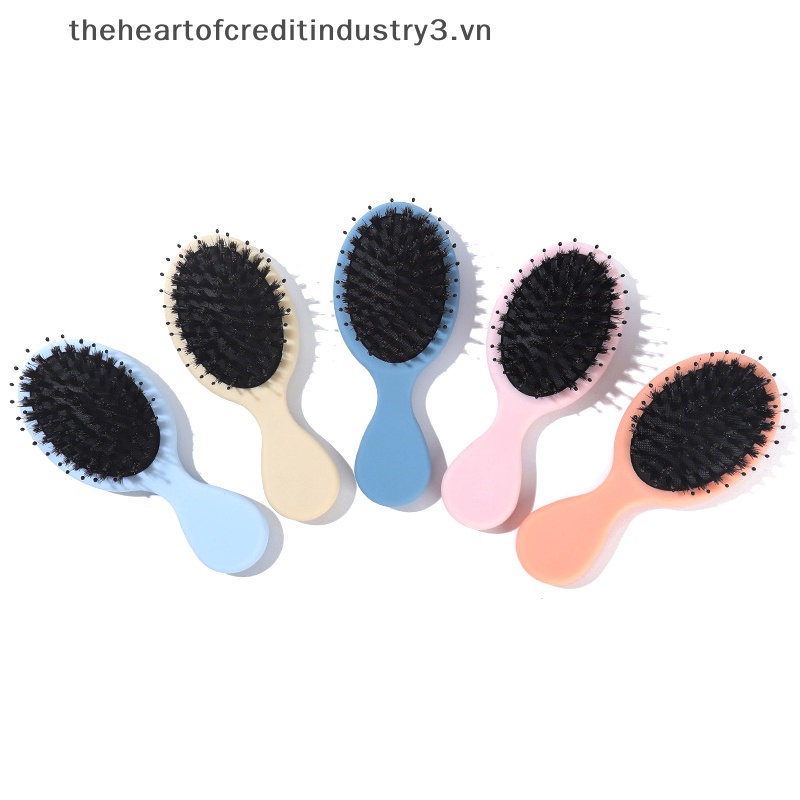 1 Lược Chải Tóc massage Da Đầu Lông Heo Hình Bầu Dục Lông nylon mini Chống Tĩnh Điện Chăm Sóc Tóc salon.