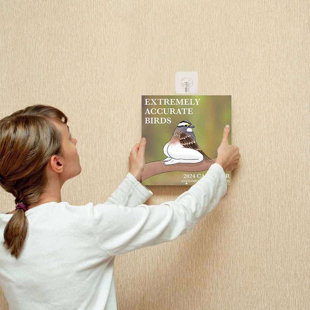 2024 Calendar Of Extremely Accurate Birds | Decorative Wall Monthly Calendars