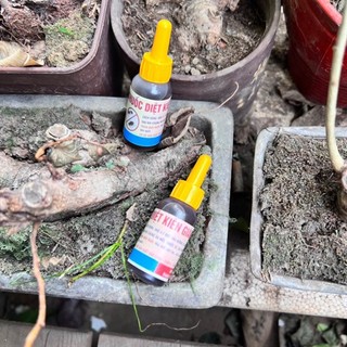 Chai thuốc diệt kiến sinh học