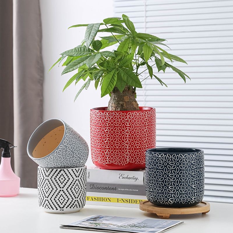 Exquisite ceramic flower pots Special ceramic pots for living room Green plants Flowers Flowers Livi
