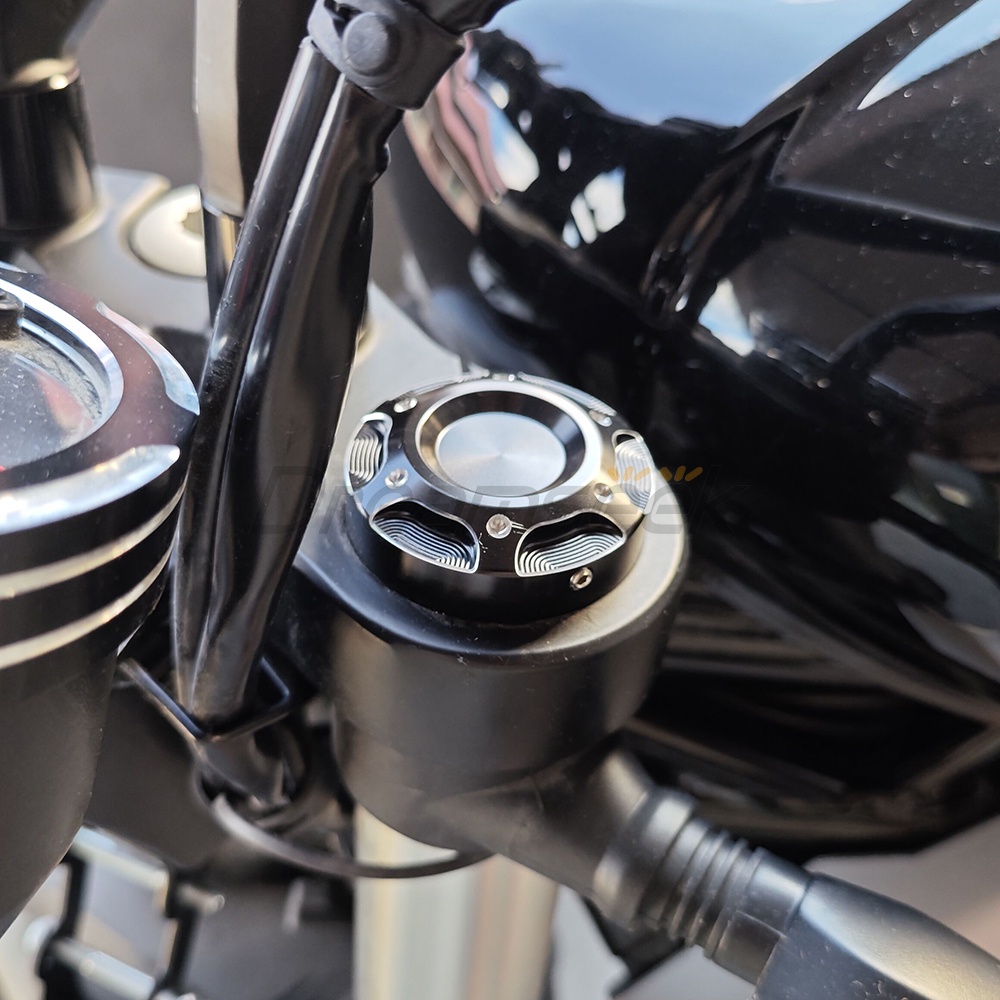 Cặp Nắp Đậy Phuộc Trước Bằng Nhôm cnc Màu Đen Cho Mô Tô harley-davidson x350 2023 +