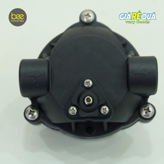 [Ảnh thật] Đầu bơm - đầu bơm máy lọc nước RO, bơm phun sương GFP50DB