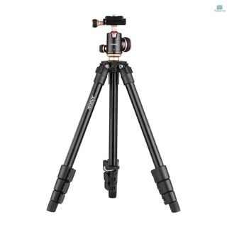 Andoer giá đỡ ba chân q160sa có thể điều chỉnh chiều cao cho máy ảnh kỹ thuật số dslr ca come-9.13