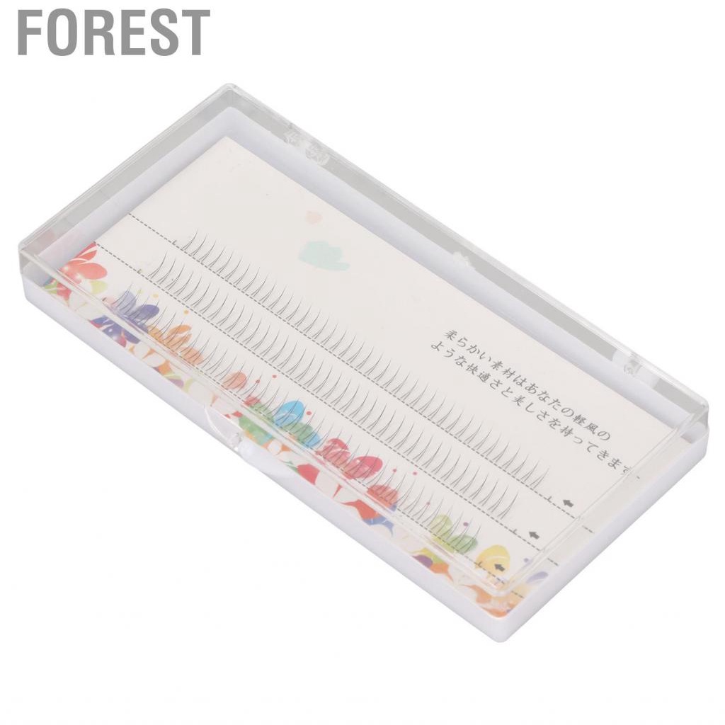 Forest V Shaped Lower Lashes Bottom