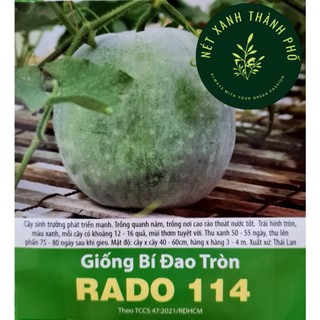 Hạt giống Bí đao trái tròn - h2t farm
