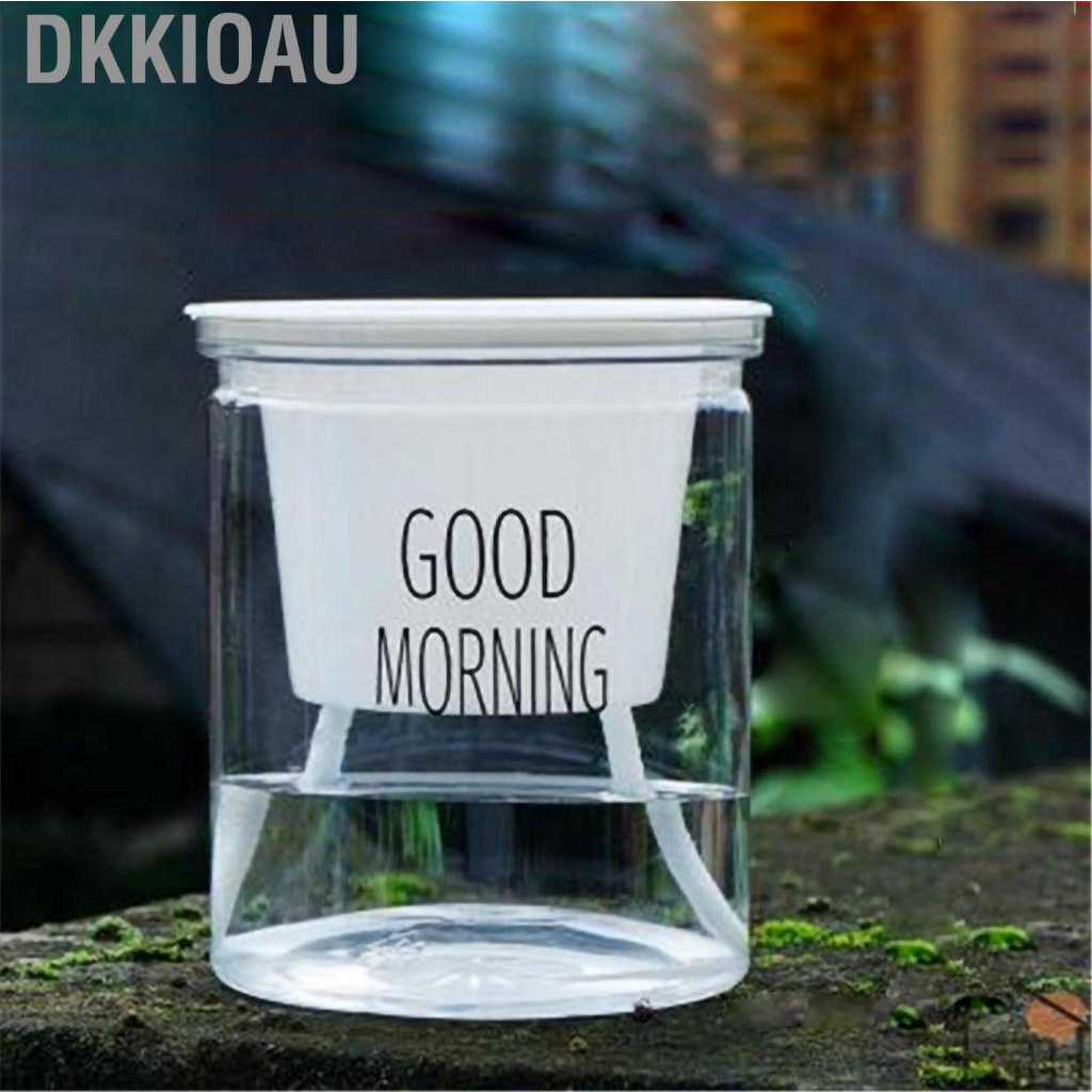 Dkkioau Flower Pot Indoor Self Absorbed Watering Planter Transparent Container for Office Home
