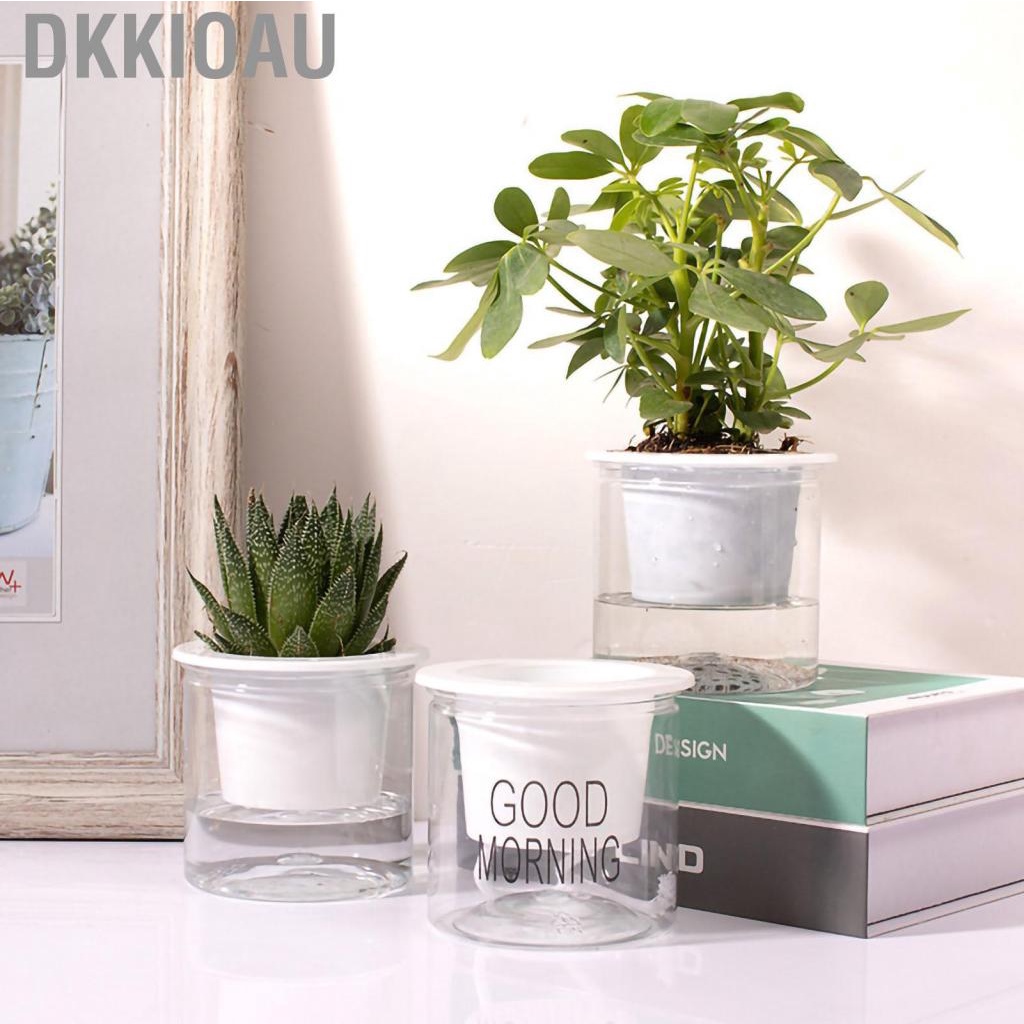 Dkkioau Flower Pot Indoor Self Absorbed Watering Planter Transparent Container for Office Home