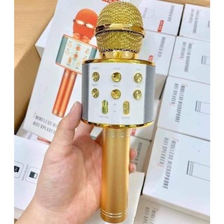 (Bán buôn-chuyên sỉ) Mic Karaoke Ws-858