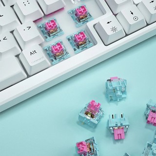 Combo Switch dành cho bàn phím cơ