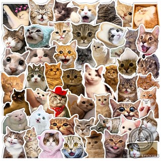  Set 50 Hình Dán Sticker Mèo Meme Cute Hài Hước Chống Thấm Nước Trang Trí Mũ Nón Bảo Hiểm Ván Trượt Laptop Xe Đạp Sổ 