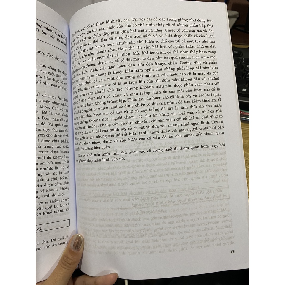 Sách - 199 bài và đoạn văn hay lớp 4