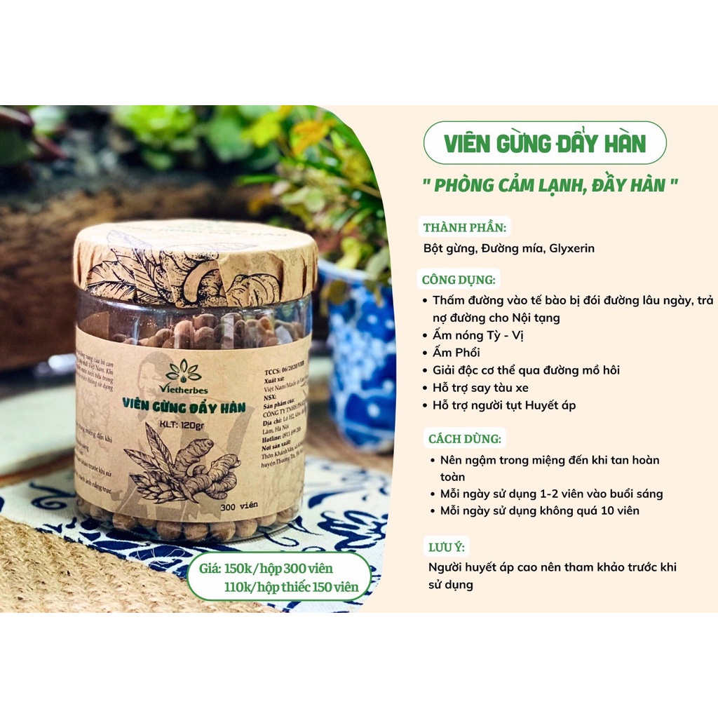 Viên Gừng Đẩy Hàn - Vietherbes