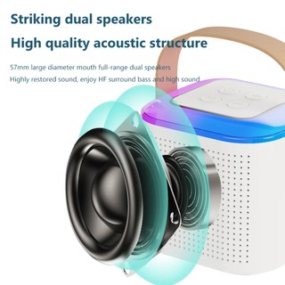 Loa Bluetooth Không Dây Kèm 2 Micro Chất Lượng Cao