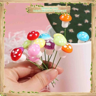 Tiểu cảnh "nấm xốp mini" trang trí sen đá, sân vườn/ chậu cây, dyi, terrarium .