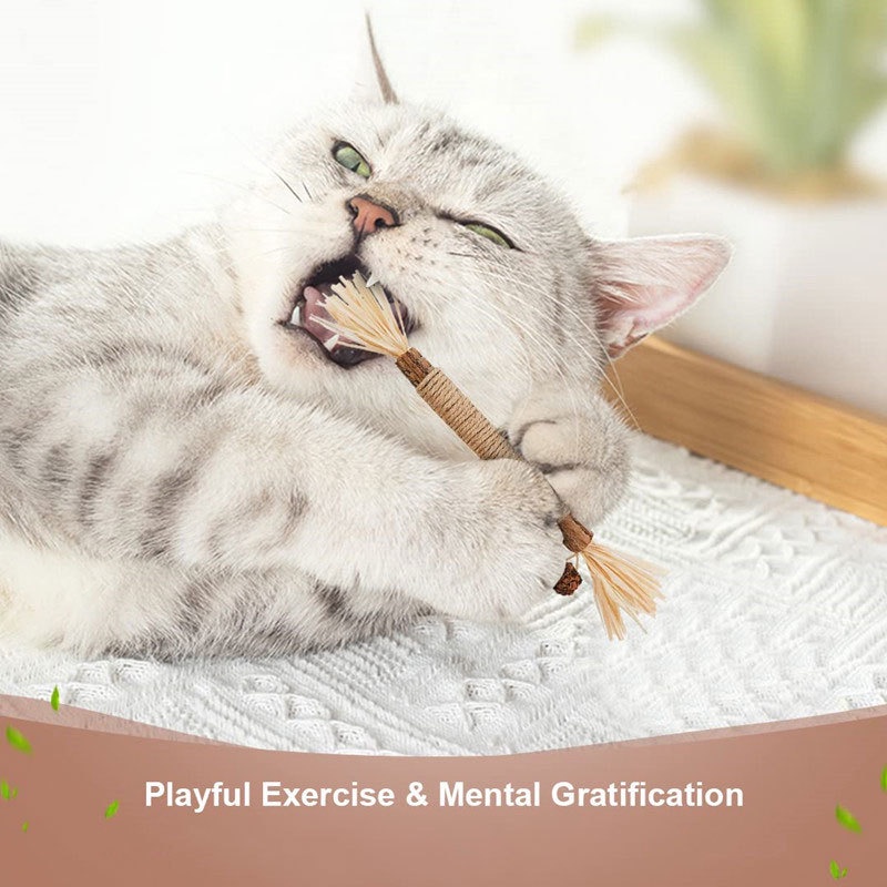 Que Gỗ Đồ Chơi Ngậm Cắn Dành Cho Mèo