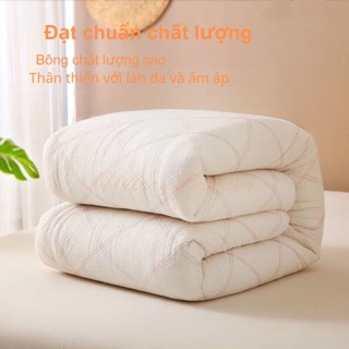 Ruột chăn bông mùa đông siêu nhẹ cao cấp, chăn mềm hè, thu đông, chăn phao dày