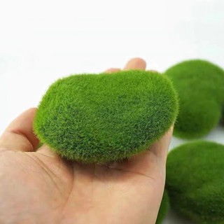 Bộ 6 rêu xanh rêu nhân tạo trang trí bể cá