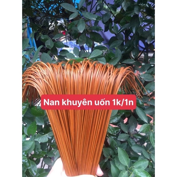 Nan uốn sẵn hàng siêu đẹp chọn lọc cho chim khuyên choè