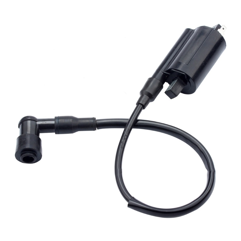 Cuộn Dây Đánh Lửa Động Cơ Xe Máy Chống Nắng 4x2 6x4gator Gass homologated