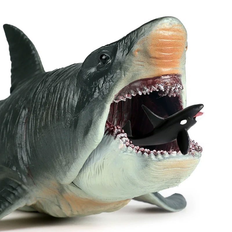 MARINE ANIMAL MODEL SIMULATION PVC UNDERWATER CREATURES GREAT WHITE SHARK SHARK KILLER WHALE DOLPHIN SPERM WHALE EARLY CHILDHOOD EDUCATION TOYS