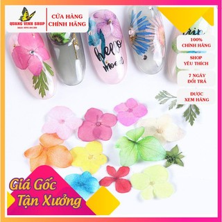 Hoa khô ẩn gel bông tròn