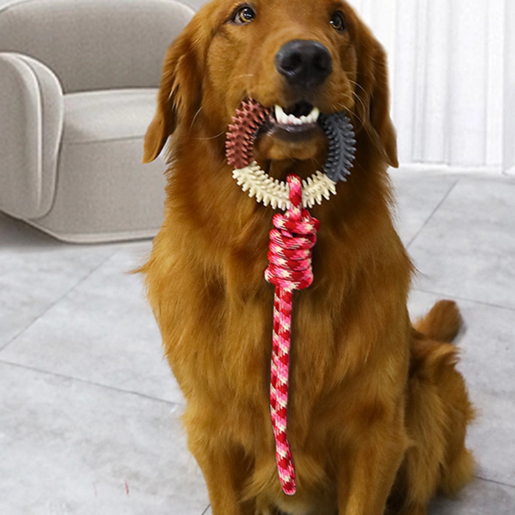 Chấm Bi Trang Trí| Đồ Chơi Mềm Mại Chống Mài Mòn Giúp Giảm Căng Thẳng Cho Thú Cưng