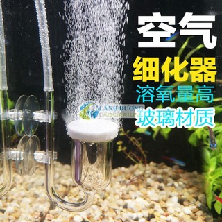 Cốc sủi oxy nano siêu mịn