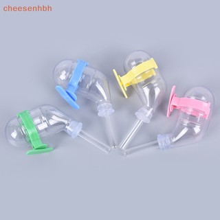 Bình Uống Nước Tự Động Cho Thỏ / Chuột Hamster
