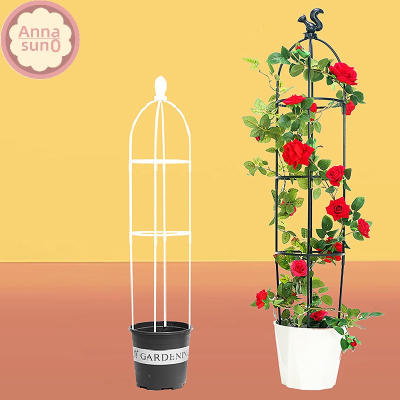 Annasun 1 Bộ Cây Leo Trellis Lồng Hỗ Trợ Sân Vườn Cho Hoa Cây Hỗ Trợ Khung Trellis Leo DIY Hoa Chậu 